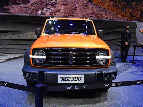 2021�� ԽҰ�� 2.0T ������