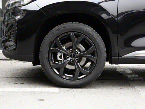 2021�� 290T ������ҫ��