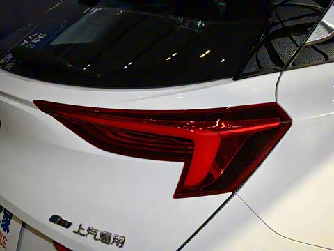 2019�� ����������