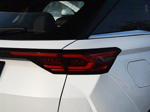 2019�� 230 TID �Զ������� ��V