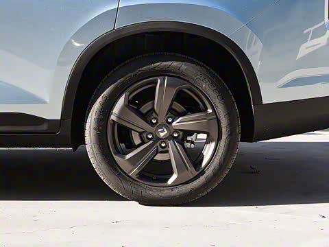 2019�� 1.5T �ֶ�24Сʱ���߾�Ӣ�� 5��