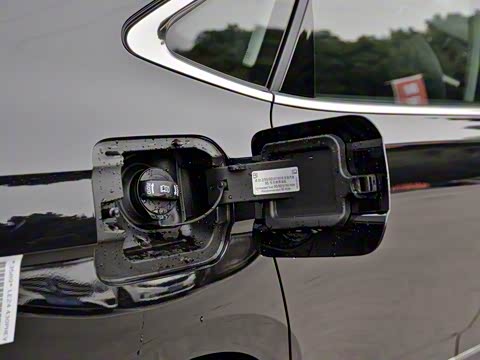 2019�� 430PHEV �춯��Ӣ��