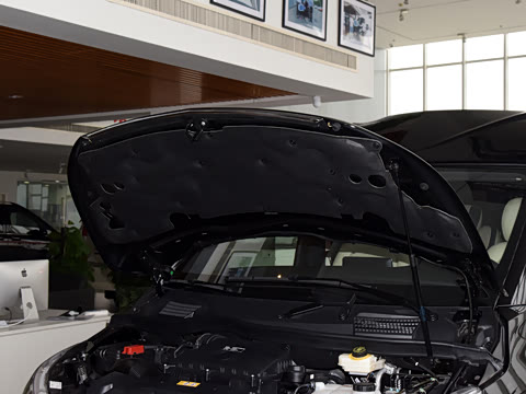 2020�� �������Ȱ�