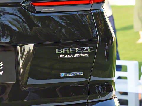 2020�� �񡤻춯 2.0L �����񡤻�ҹ��