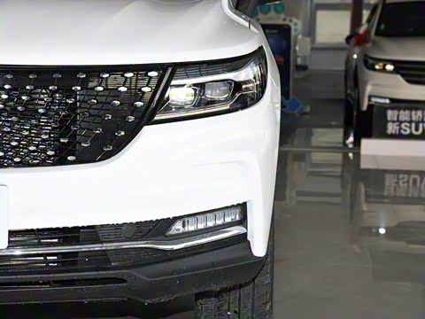 2019�� 220T CVT������ ��V