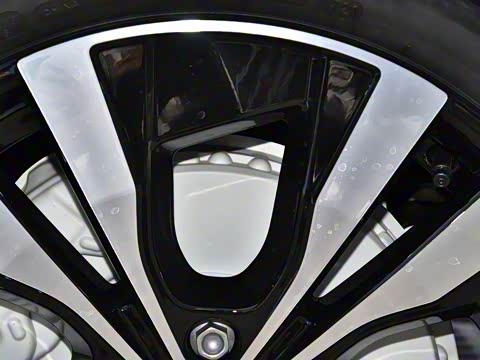 2021�� T5 ���������˶���