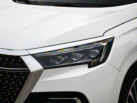 2020�� 1.6T DCT�Ȱ�Pro�� 6��