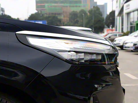 2021�� 290T ������ҫ��