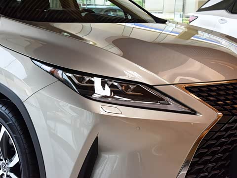 2020�� 300 �������Ű� ��VI