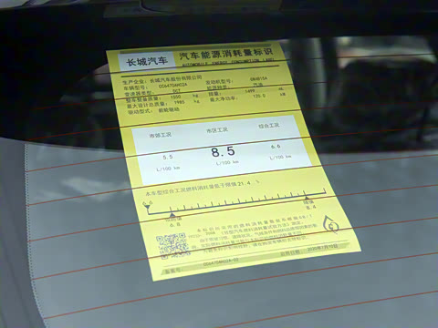 2021�� ������ 1.5T �Զ�����Max