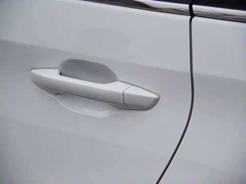 2019�� ���ʰ�