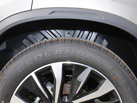 2020�� �Ŀ� 1.5T �Զ������� 7��