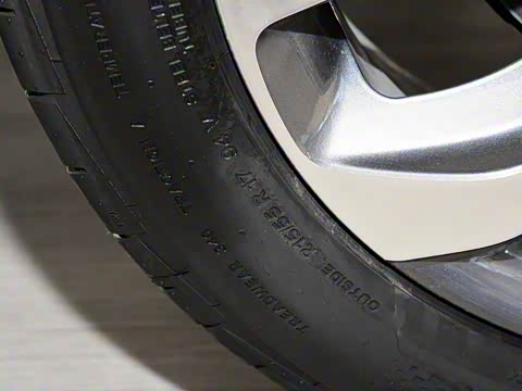 2019�� ����������