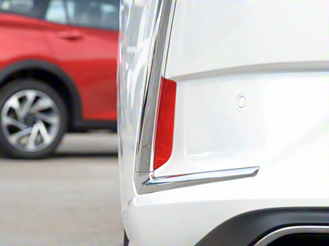 2020�� 230T �Զ��ſ�������