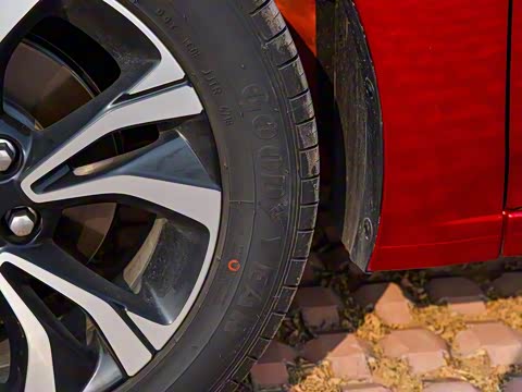 2019�� RS 330T �Զ�ʹ��� ��VI