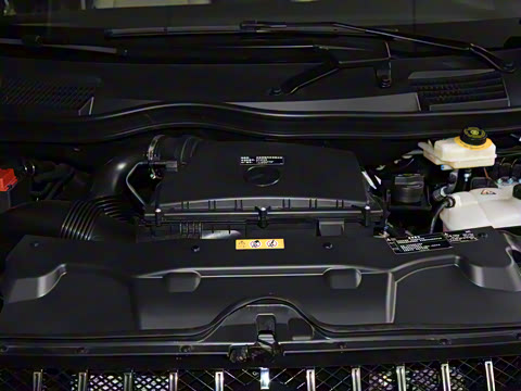 2020�� �������Ȱ�