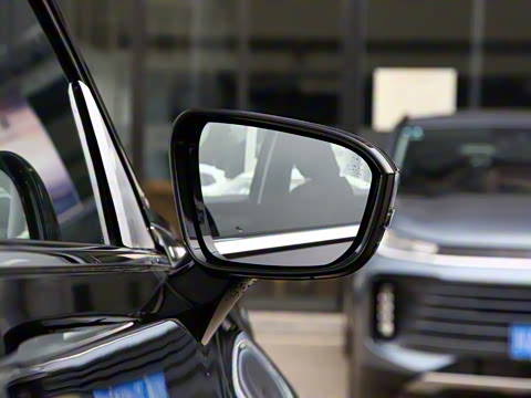 2021�� 290T ������ҫ��