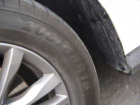 2019�� ���ʰ�