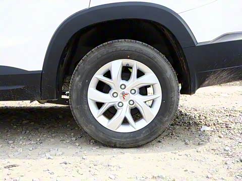 2019�� 1.5L �ֶ������� ��VI