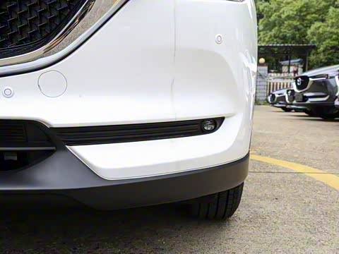 2020�� �Ŀ� 2.0L �Զ�����������