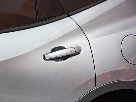 2020�� Redline 650T 7�� ����