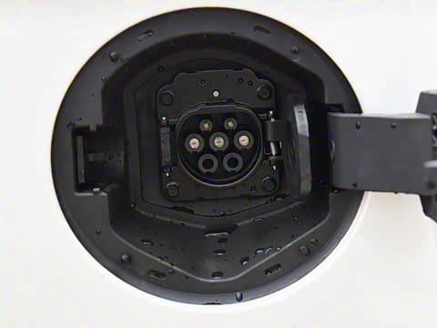 2019�� ���������