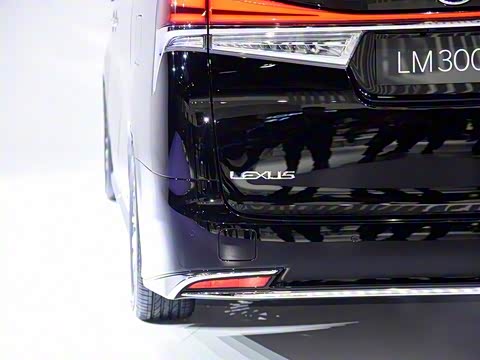 2020�� 300h ����������