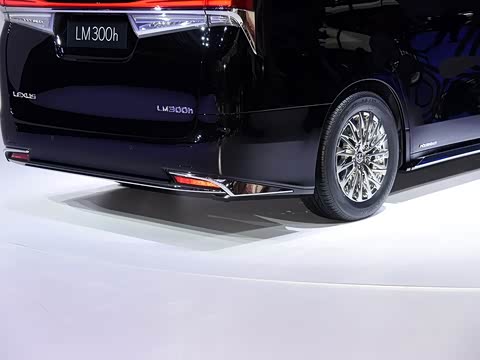 2020�� 300h ����������