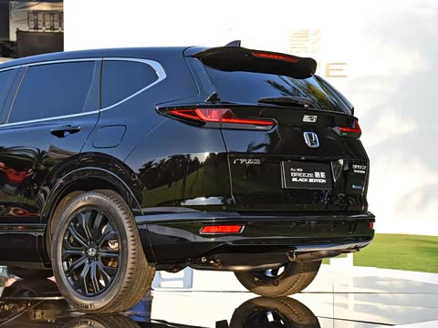 2020�� �񡤻춯 2.0L �����񡤻�ҹ��