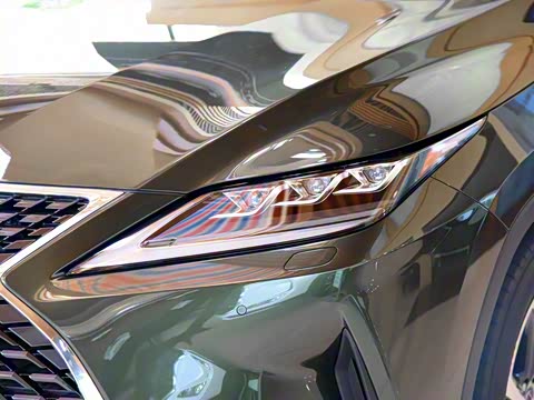 2020�� 300 �������Ű� ��VI