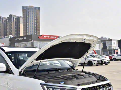 2020�� 1.6T DCT����Pro�� 6��