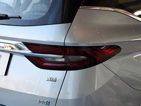 2019�� 1.5TD MHEV DCT������