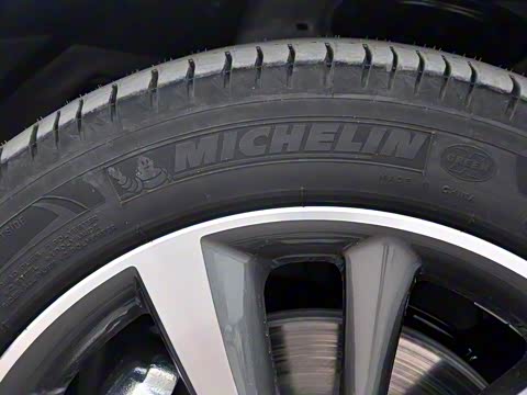 2019�� 20T �Զ��ǻ԰�