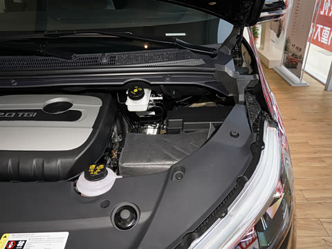 2020�� 2.0T �����Զ���ѡ��