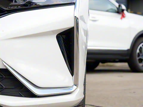 2020�� 230T �Զ��ſ�������