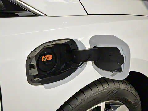 2019�� ����������