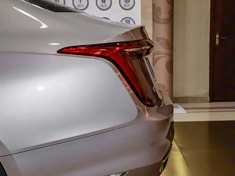 2020�� 2.0T �����쳩��