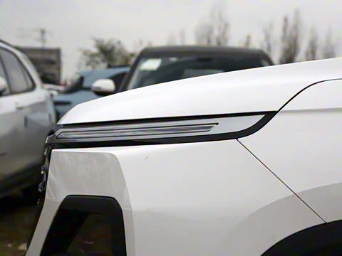 2021�� ȫ���������� 1.5T �ֶ������� 6��