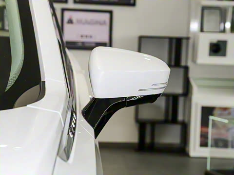 2021�� 290T ������ҫ��