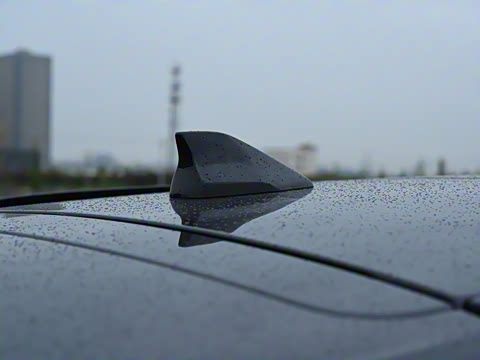 2021�� ���������� 1.6T ��������1��