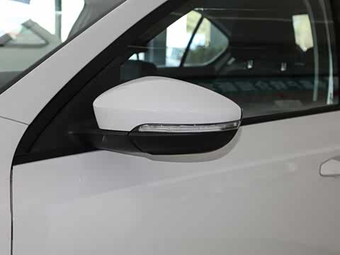 2020�� 1.5L �ֶ���׼��