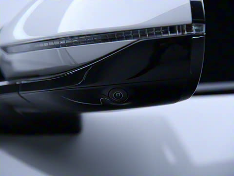 2023�� ����������Max��