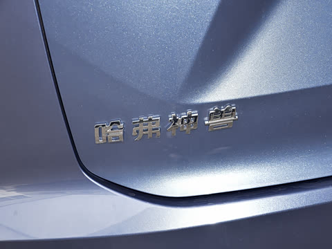 2023�� 1.5T ������