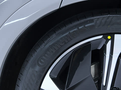 2023�� ����������Max��