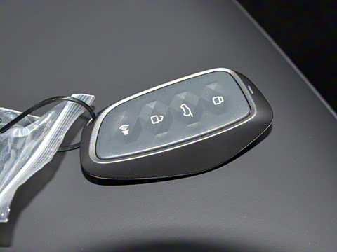 2023�� 1.5T ������