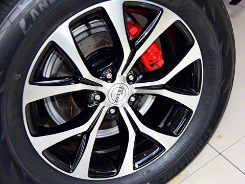 2016�� �˶��� 1.5T �ֶ�������