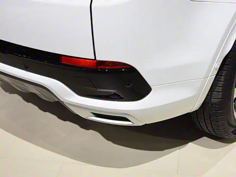 2021�� P300e ���ܿƼ���