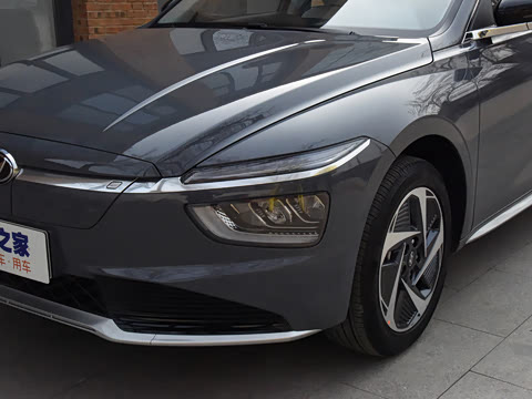 2021�� DLX�����