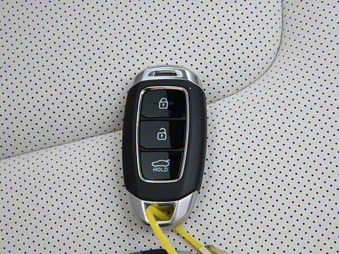 2021�� DLX�����