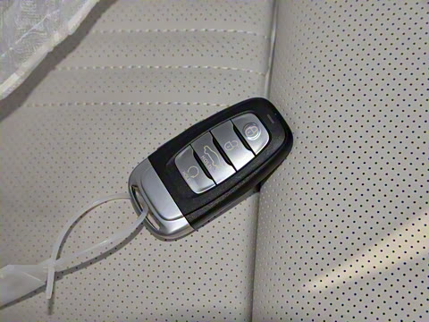 2020�� 2.0T �����쳩��